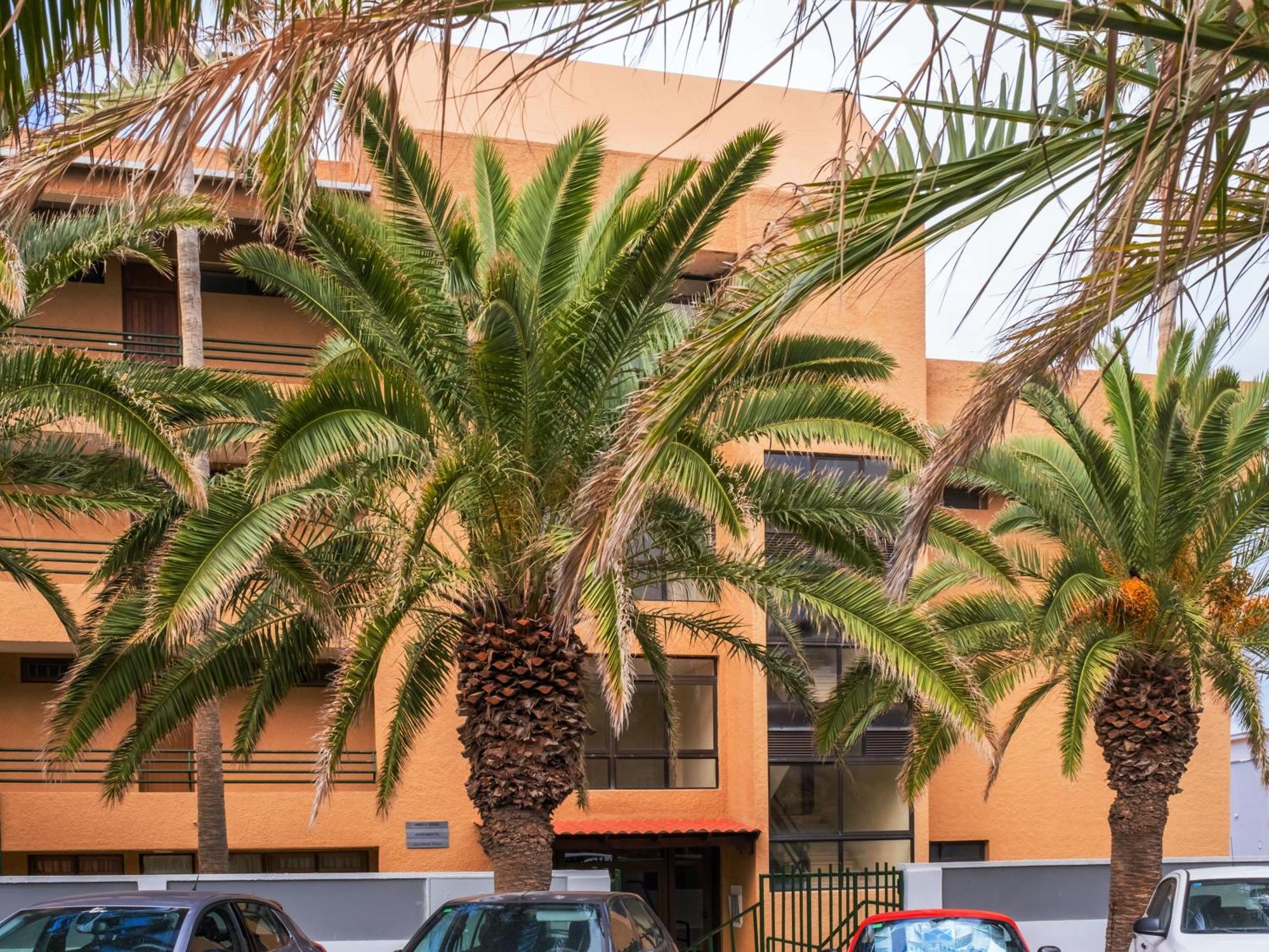 Live Punta Columbus Pool & Beach Front Punta Del Hidalgo Dış mekan fotoğraf